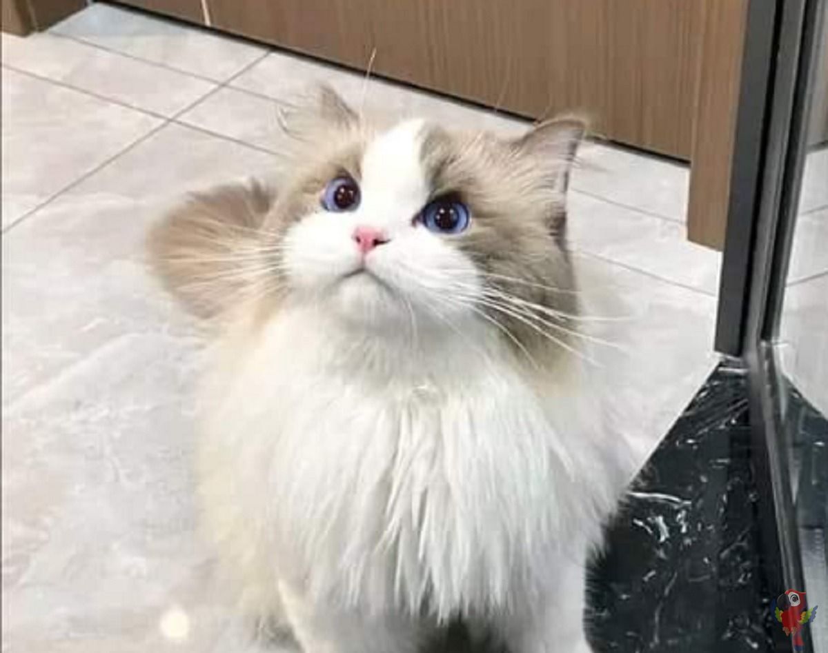 UNICEMFS tweet media