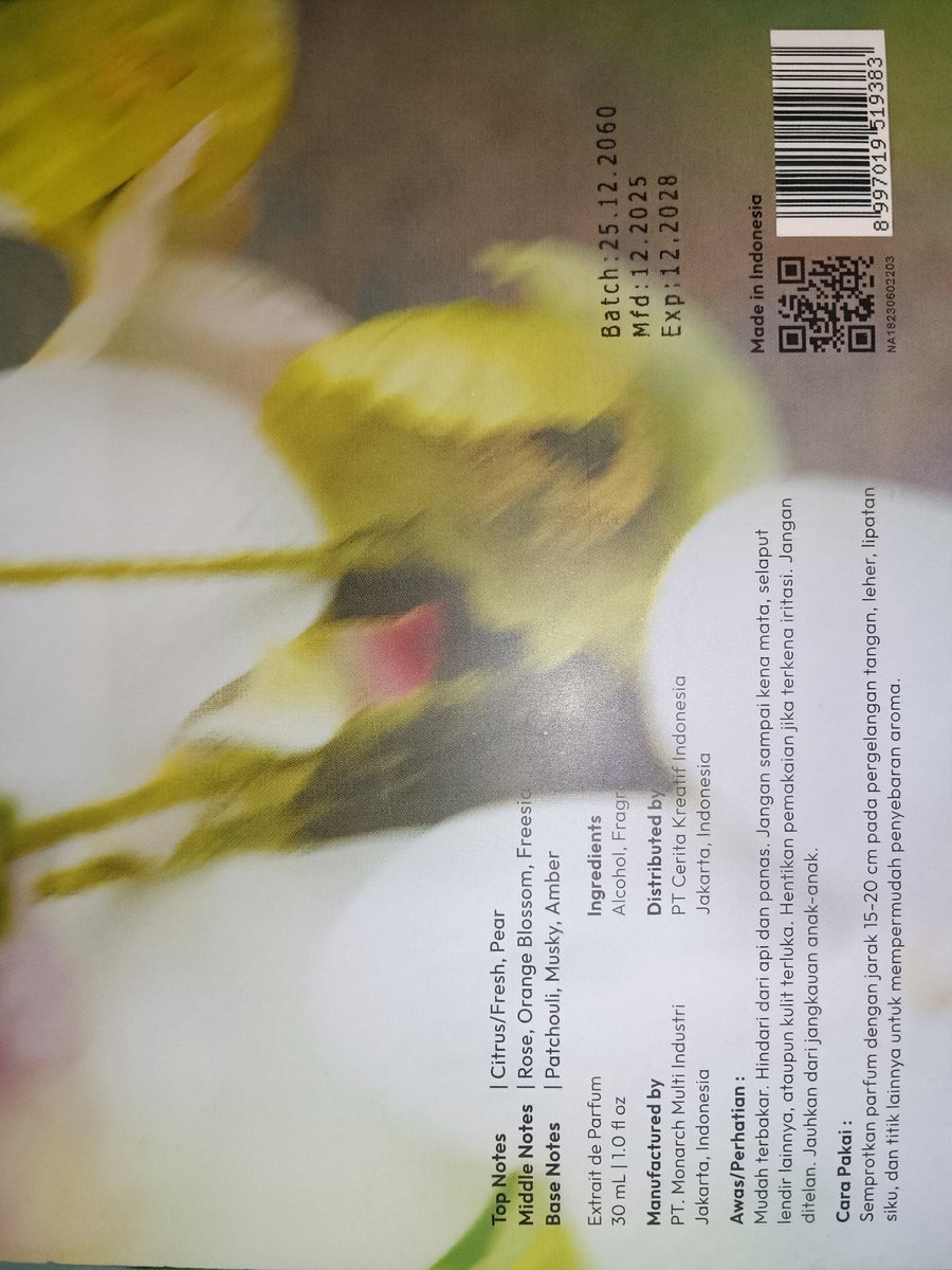 ♯ 🪷ㅡslr tweet media