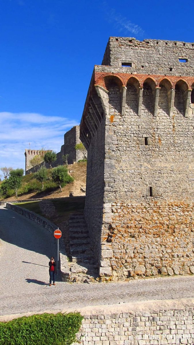 Mais Portugal tweet media