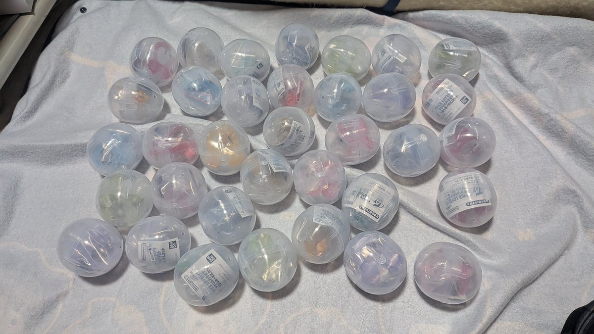 エリカちゃん(えりち) tweet media