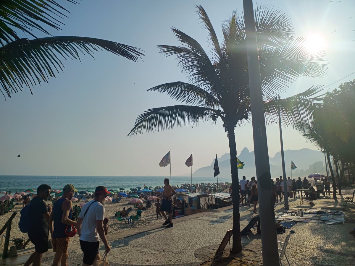 Menó Maluco tweet media