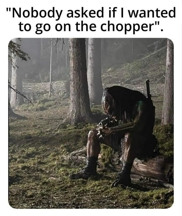 AvP Odyssey (☥𝐃𝐁) tweet media