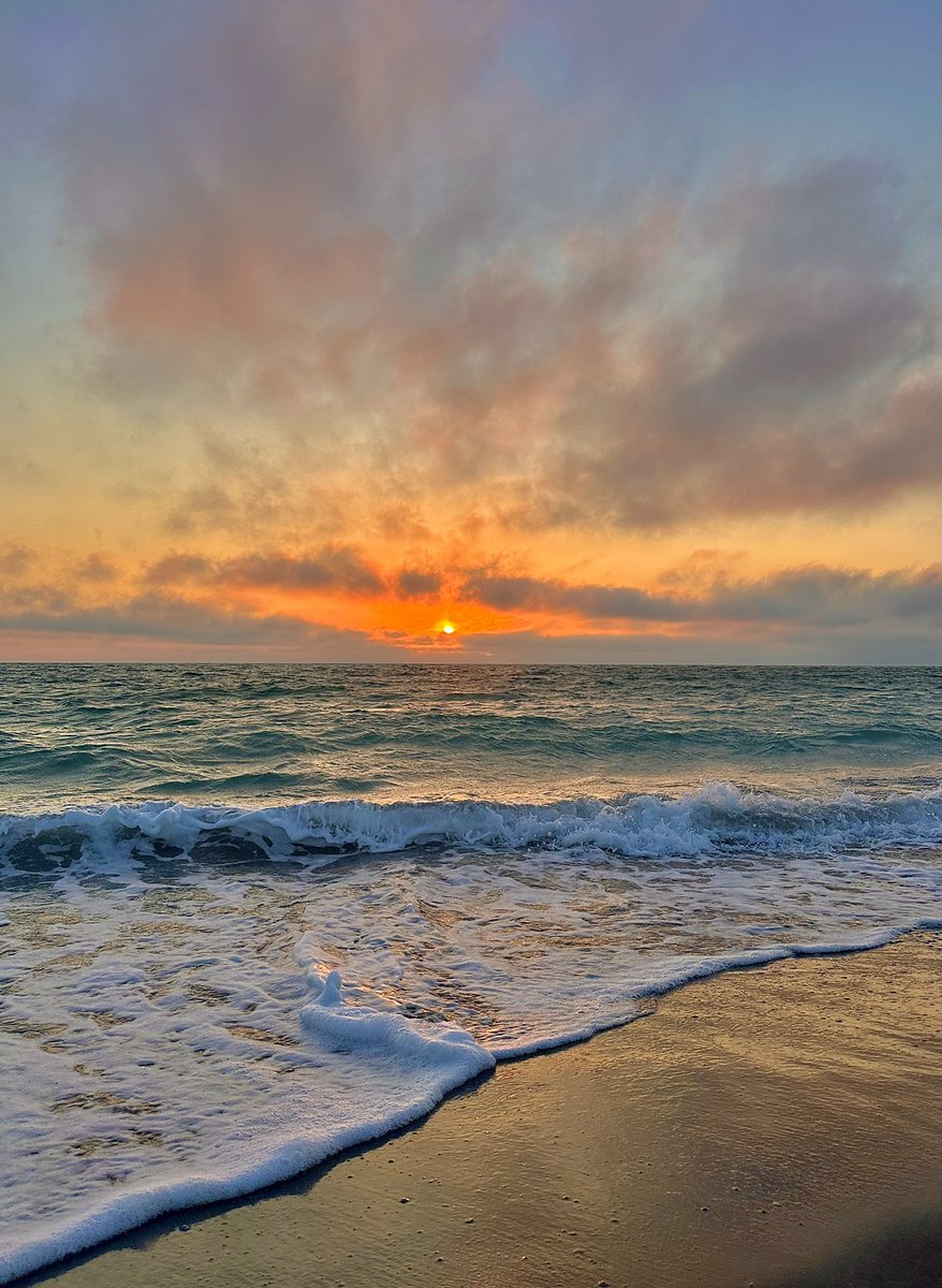 Mira🌺 tweet media