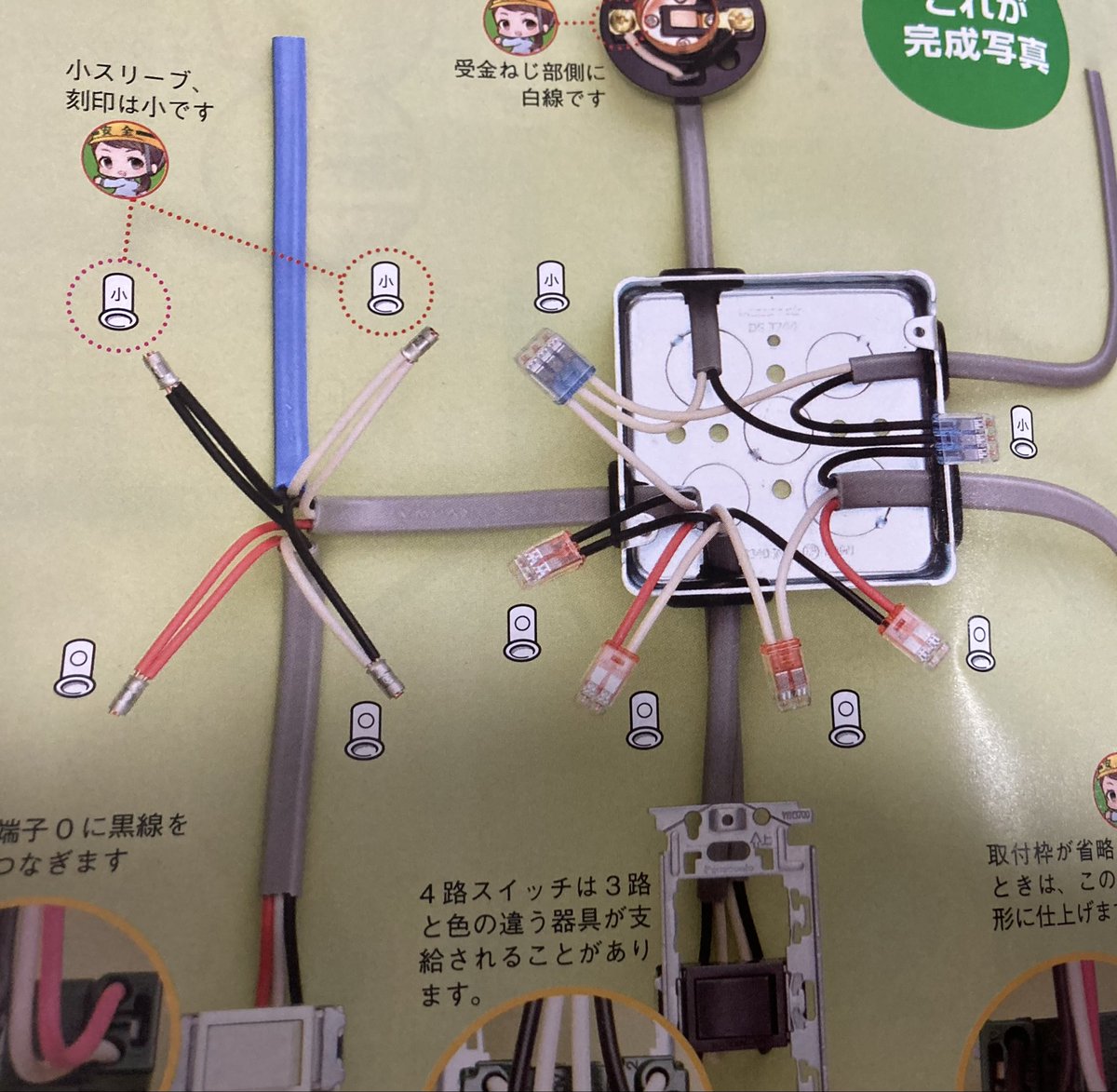 shiro☆pro tweet media