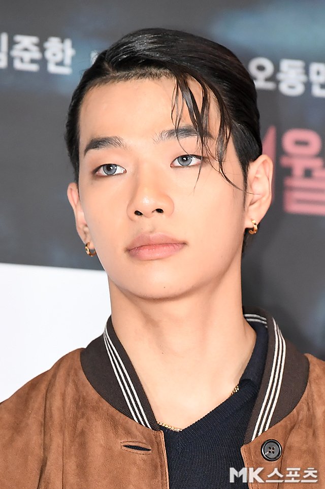 돌고래 tweet media