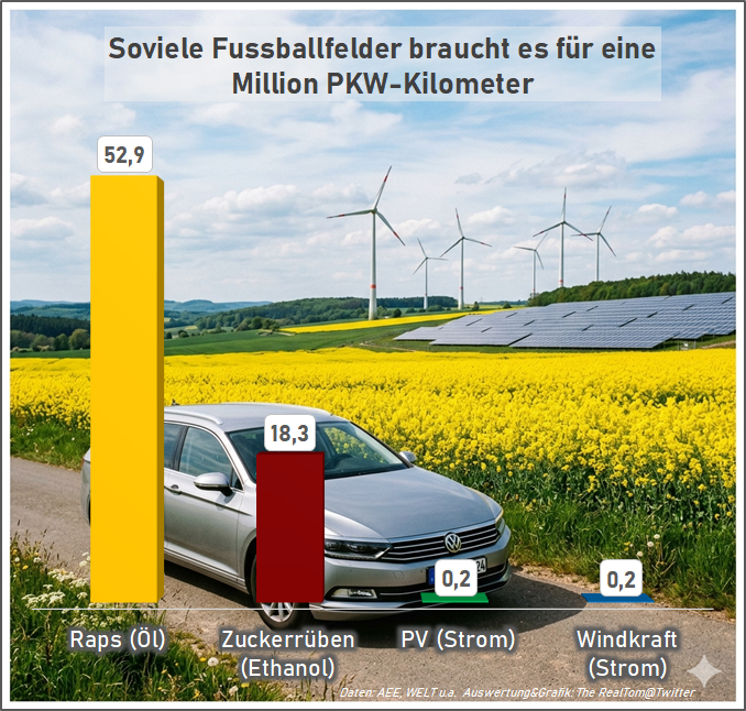 TheRealTom™ - Trusted Flagger tweet media