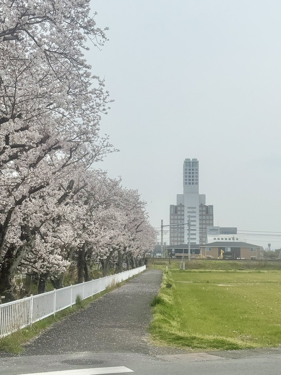 沢木 園 -さわき その- tweet media