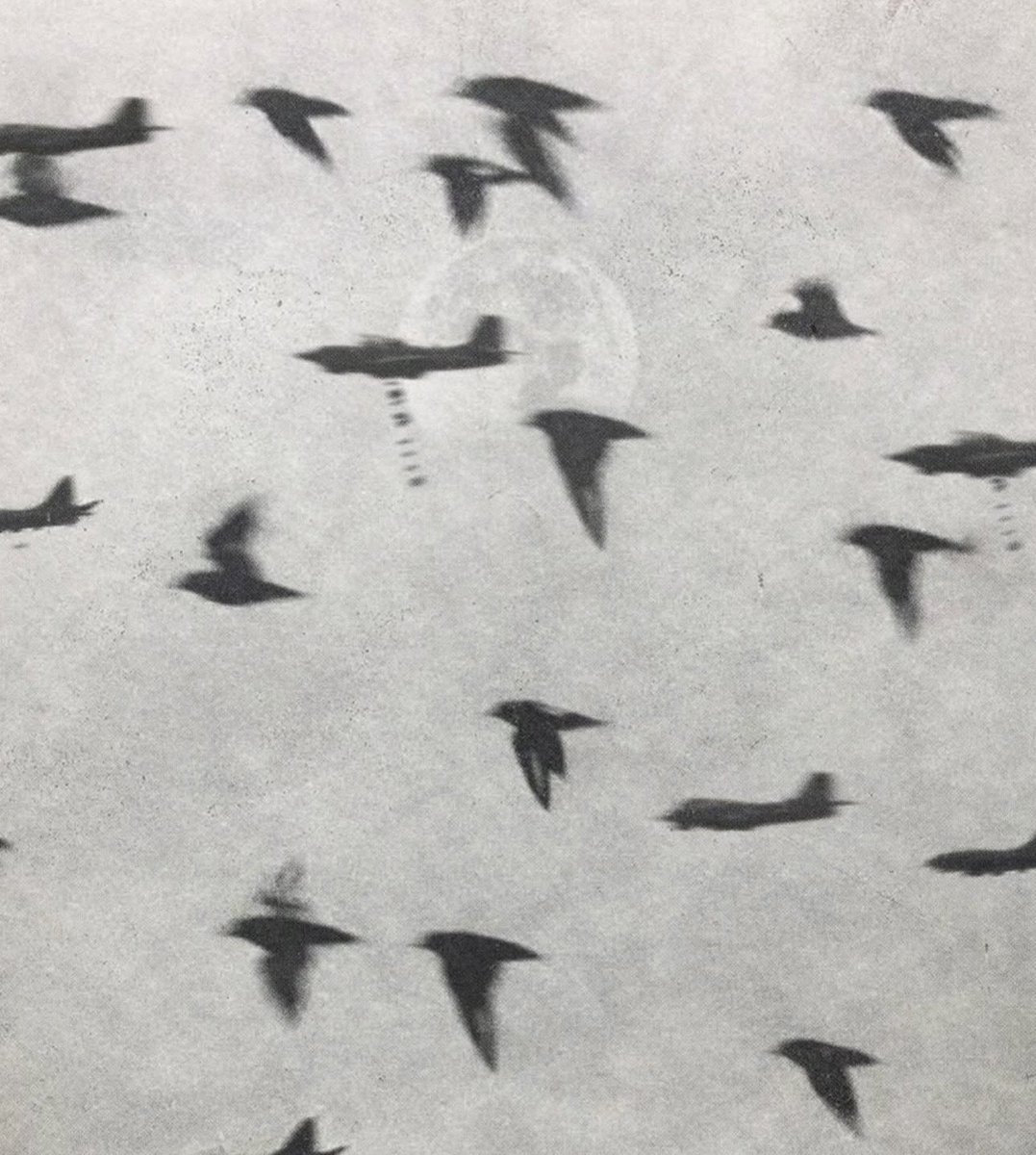 LECKZY OF ARSENAL⚪️🔴 tweet media