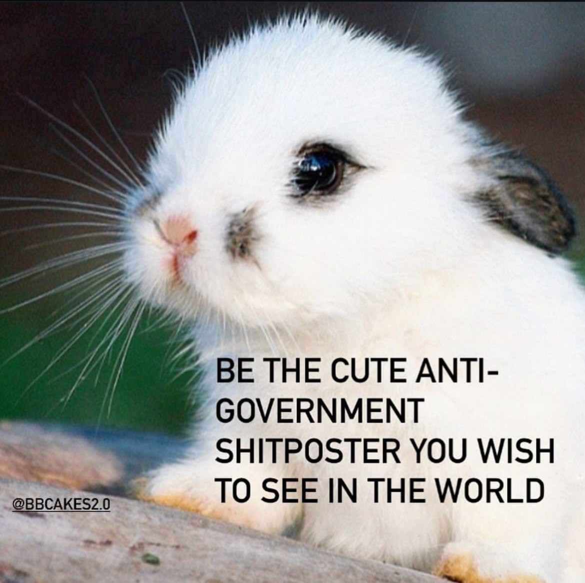 🐦‍⬛Awaken the fallen🐦‍⬛ tweet media