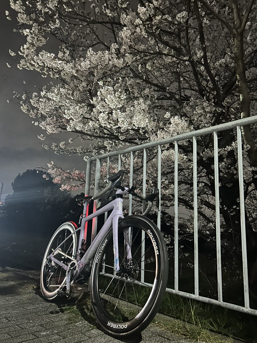 走れさかもと tweet media