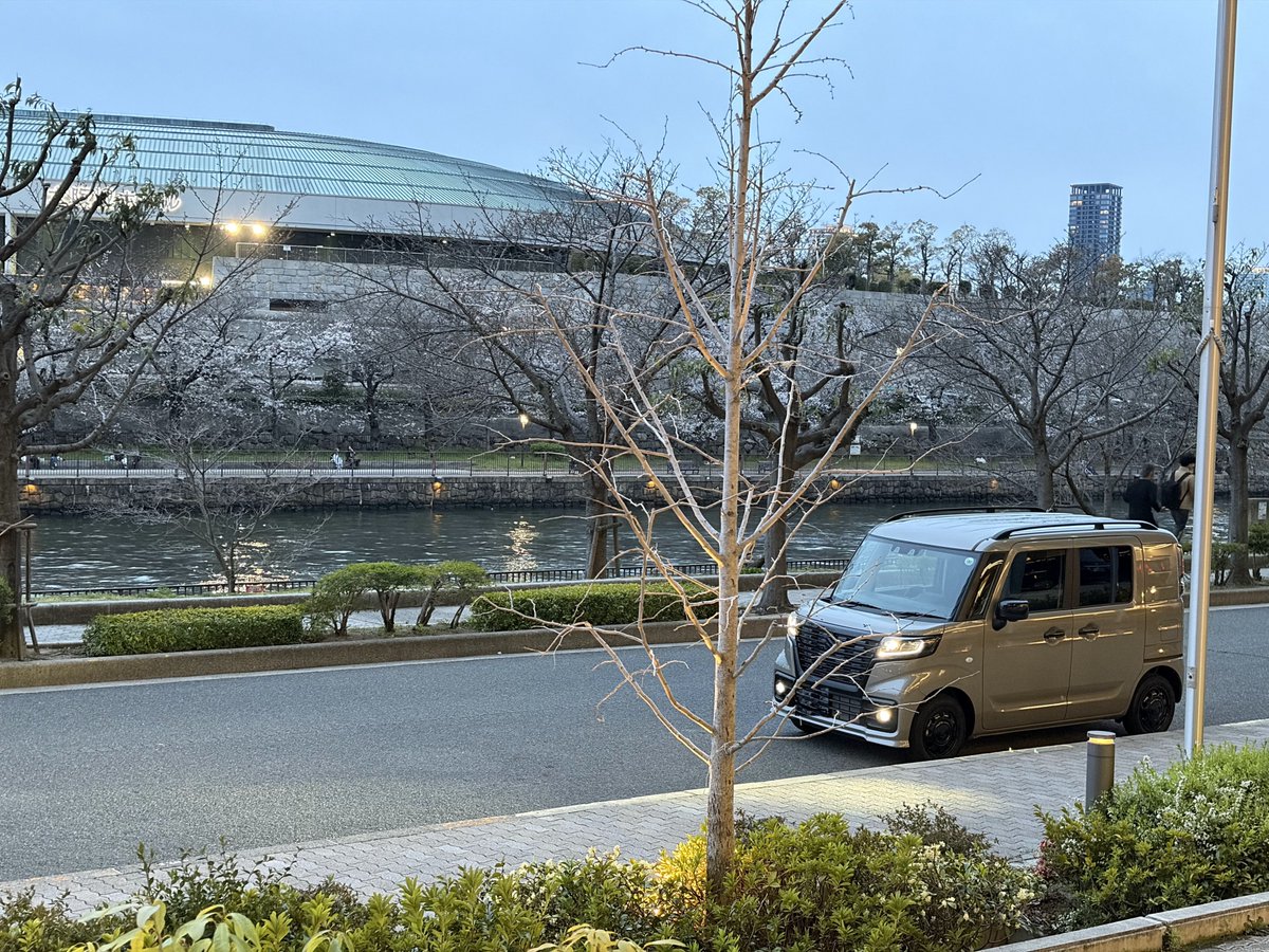 TCRYDER5's tweet photo. 🚙移動秘密基地で夕涼み🌸🌸🌸🍡

＃スペーシアベース
＃移動秘密基地 https://t.co/3V40oz3Qft