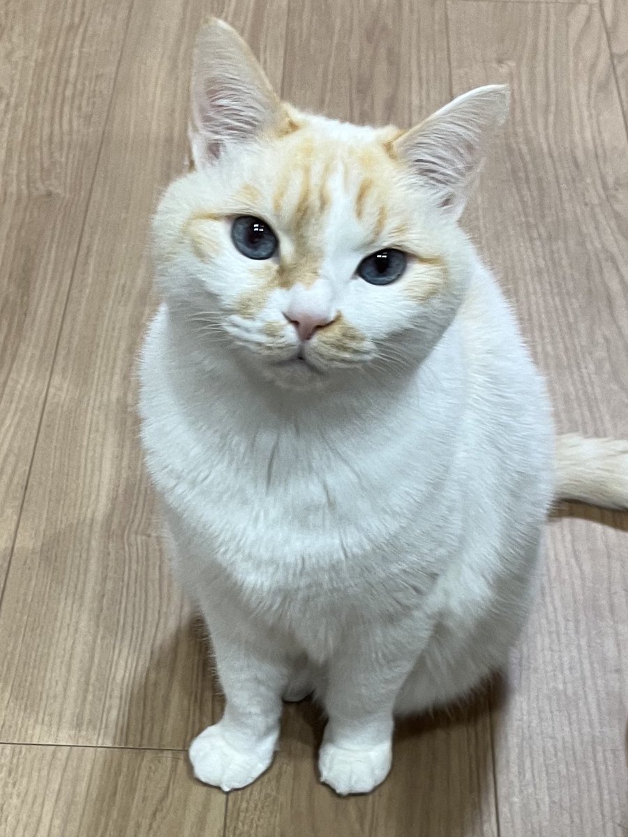 みみう☁️ tweet media