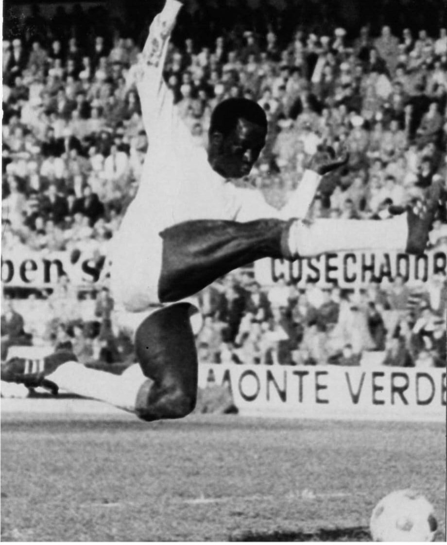 𝕷𝖆𝖙𝖊𝖗𝖗𝖆𝖟𝖆𝖉𝖊𝖑10 tweet media