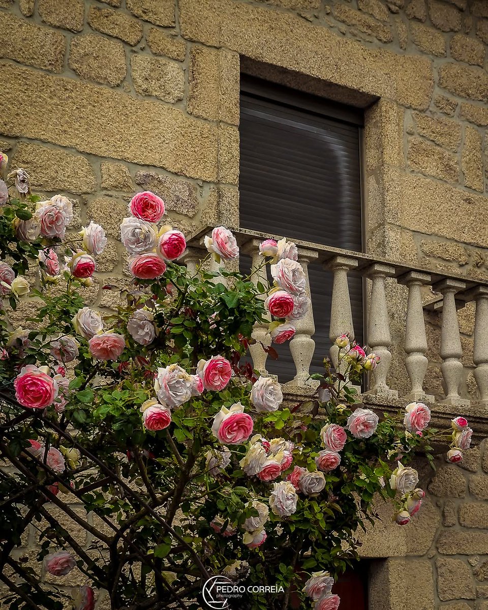 AldeiasHistóricasPT tweet media