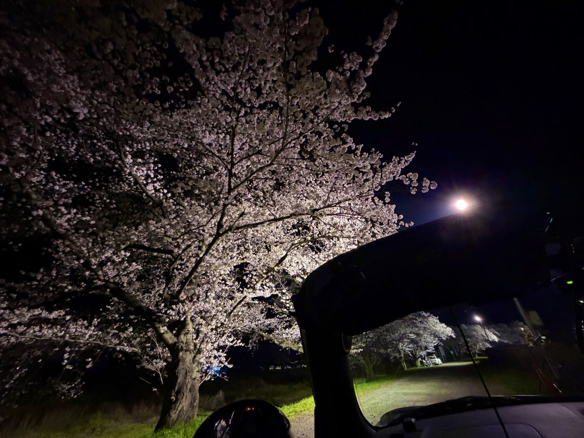 みやしろ tweet media