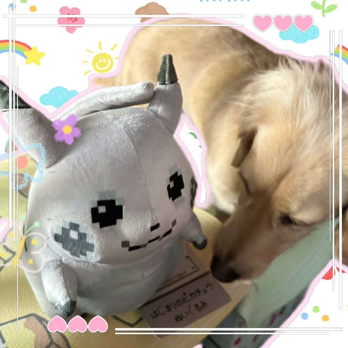 采彩 Aya 🌻 溫暖獅子喵型Vtuber、呀比✨🦁 tweet media