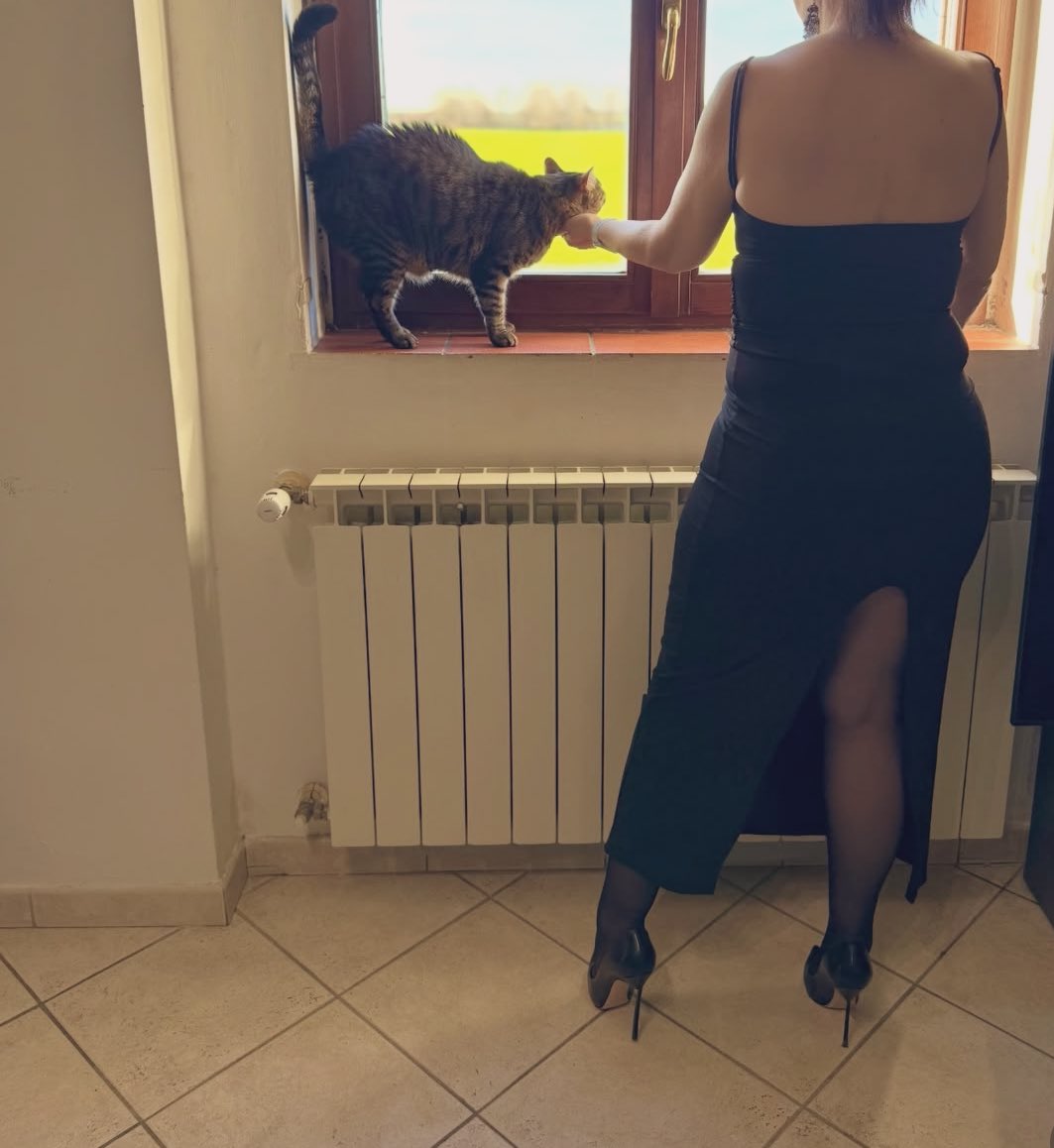 Gezgin Çift tweet media