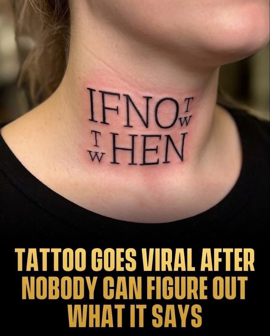 tweet_papi🐻 tweet media