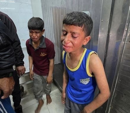 Laith Arafeh 🇵🇸 tweet media