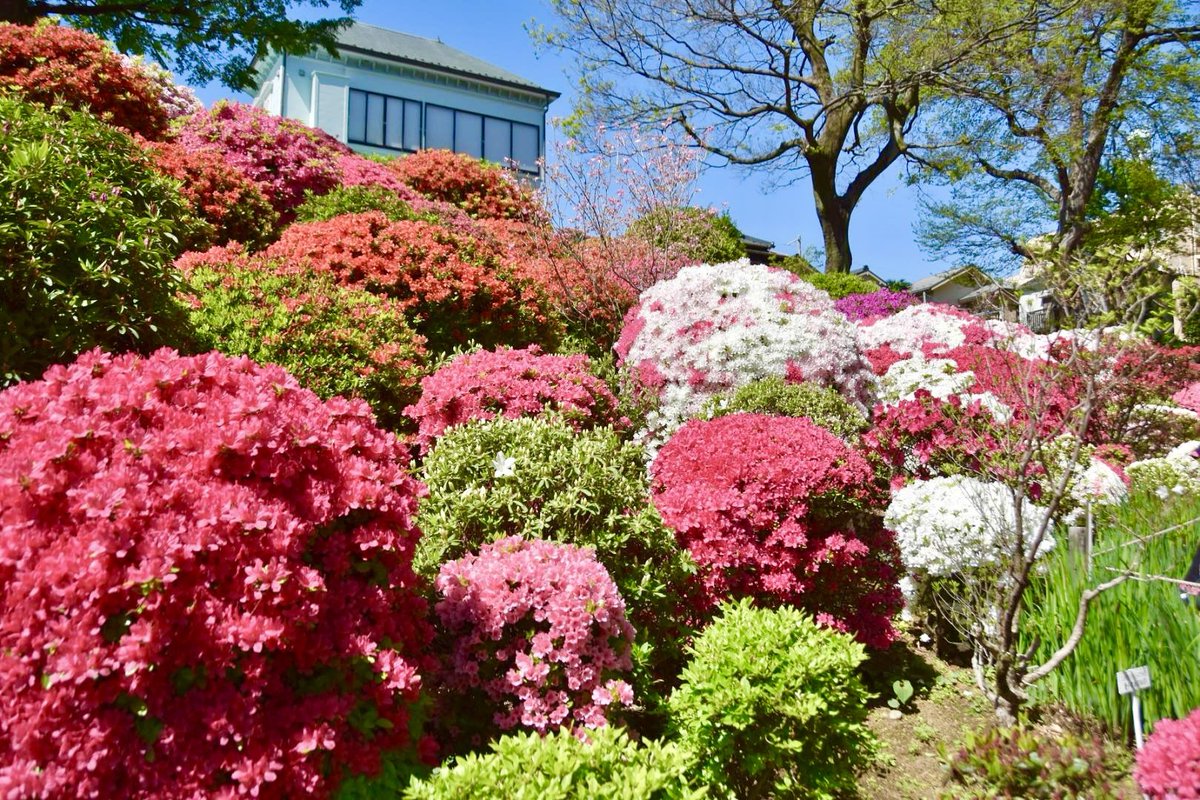 極上の旅図鑑 tweet media