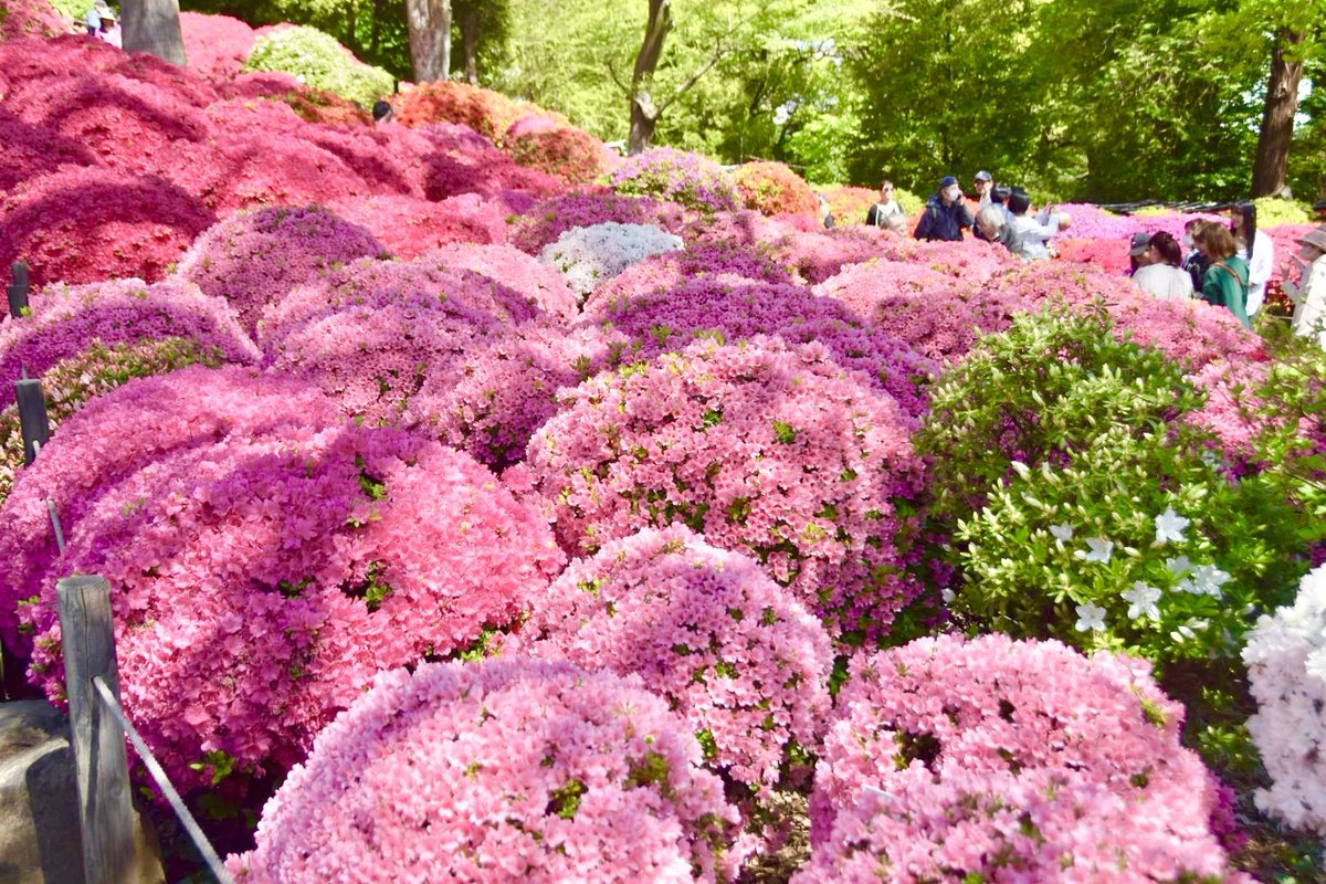 極上の旅図鑑 tweet media