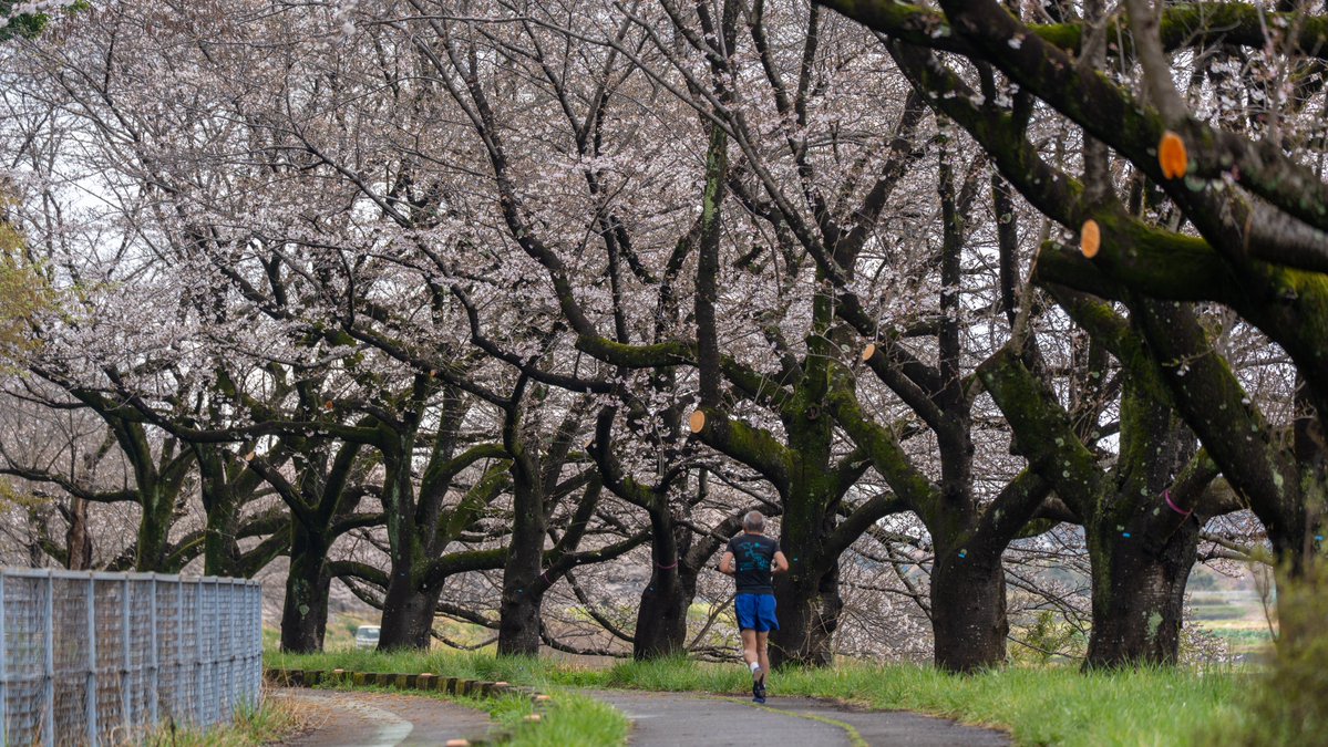 YKつち🐢 tweet media