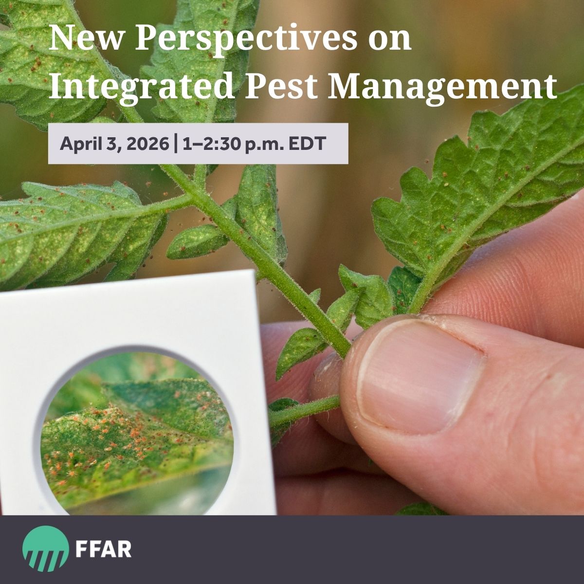 Foundation for Food & Agriculture Research (FFAR) tweet media