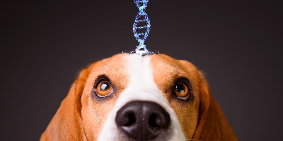 ナゾロジー@科学ニュースメディア tweet media