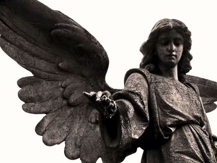 kaaevann tweet media