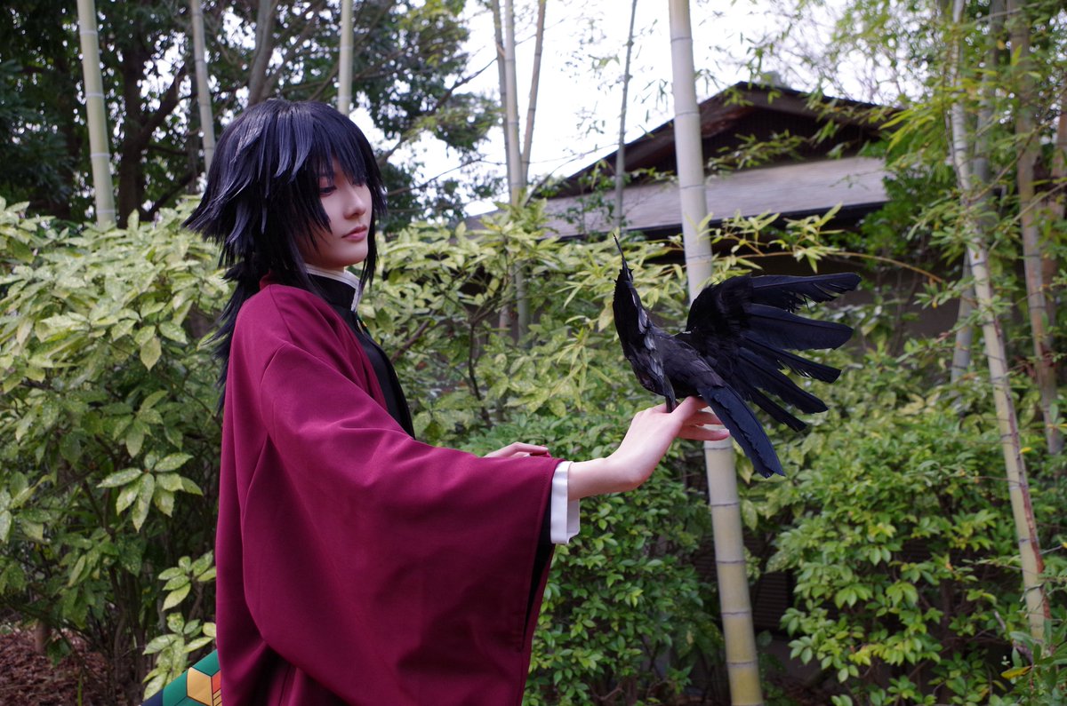 華流星-haruse-🏷️ゆっくりお迎え中 tweet media