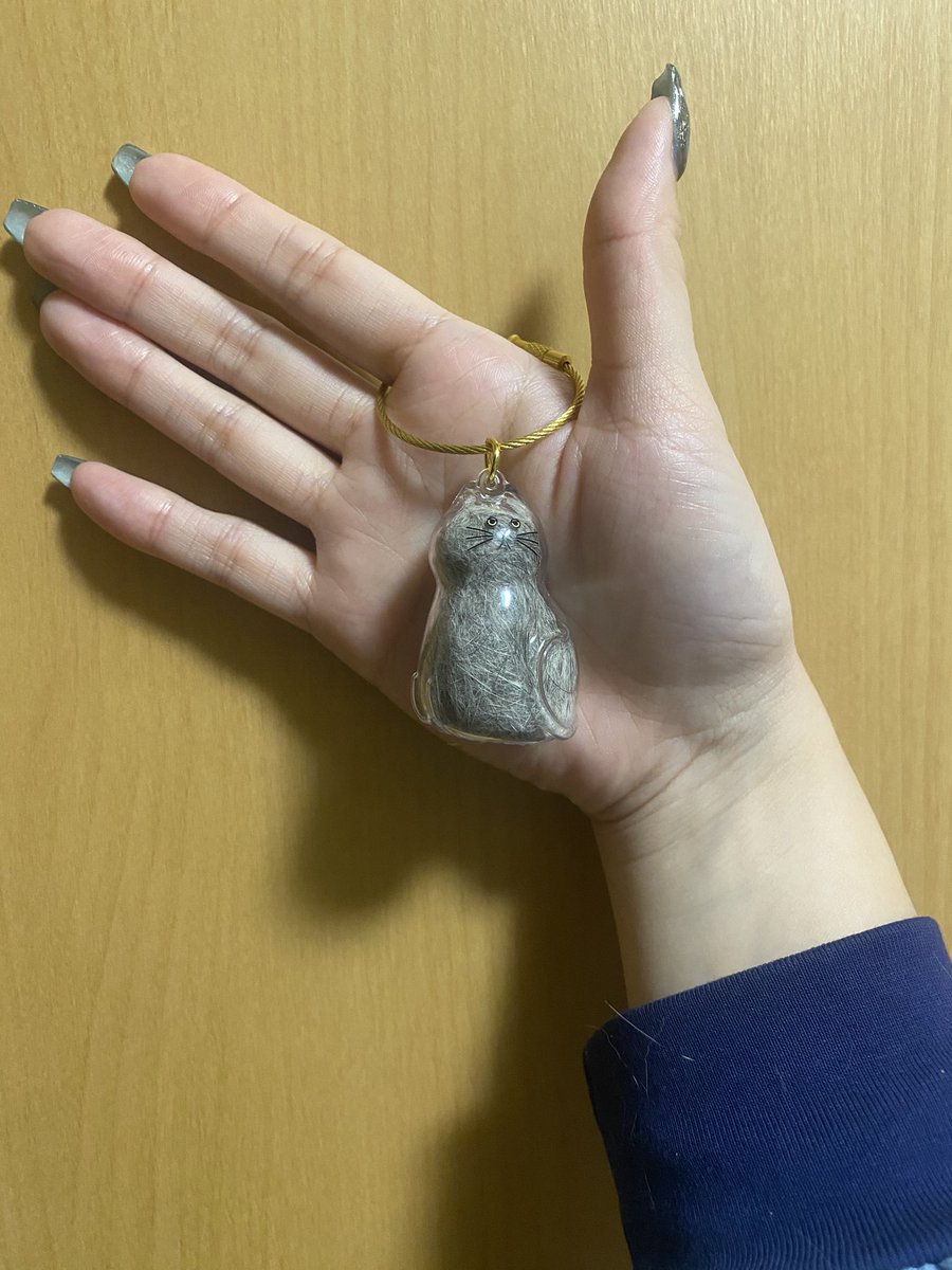 小森千沙 tweet media