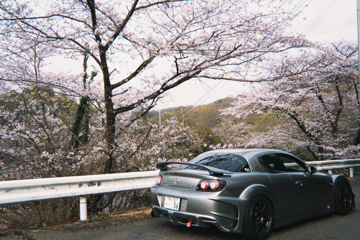 me55_rx8's tweet photo. 花見して桜とツーショット🌸 https://t.co/0x2qMZfjk8