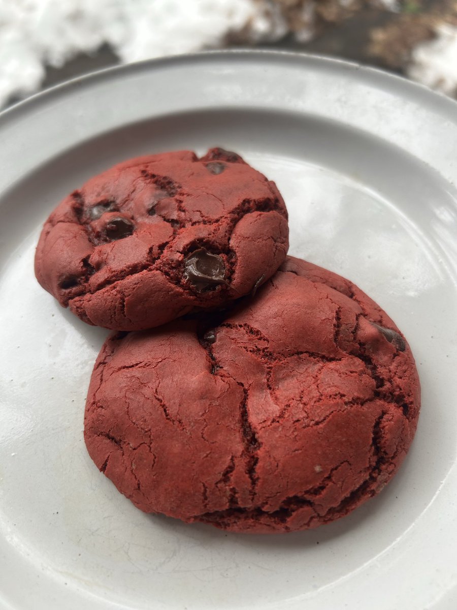 The Bee Hive 🐝 tweet media