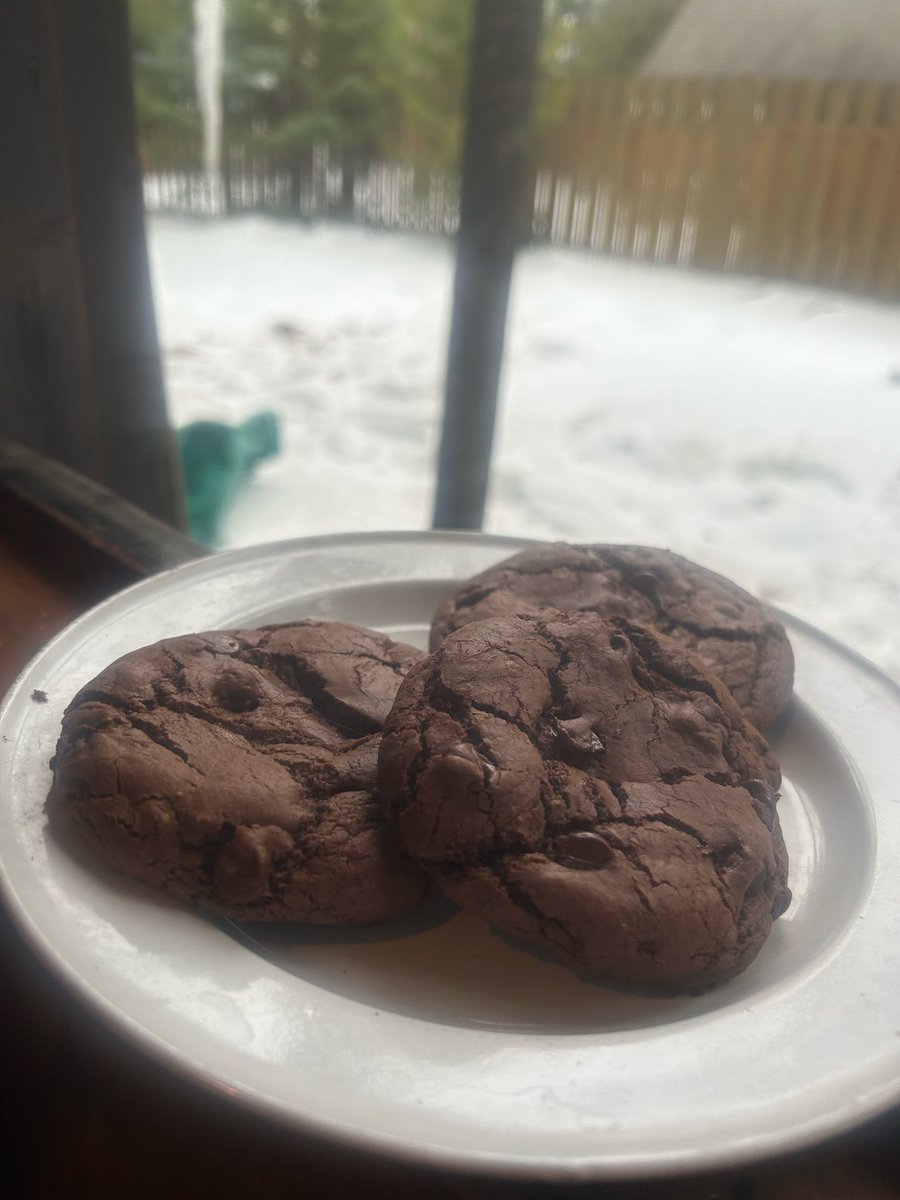 The Bee Hive 🐝 tweet media