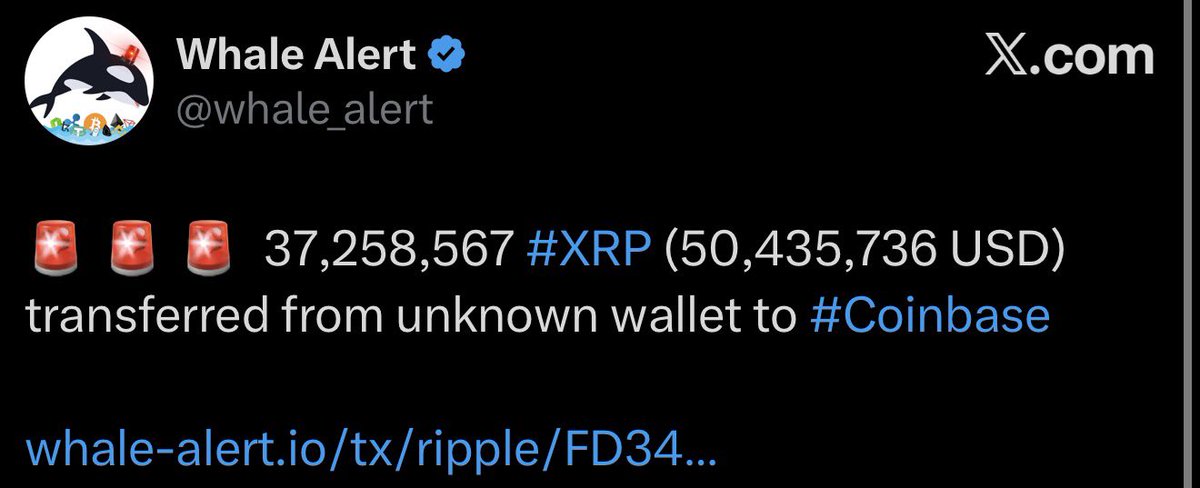 XRP Update tweet media