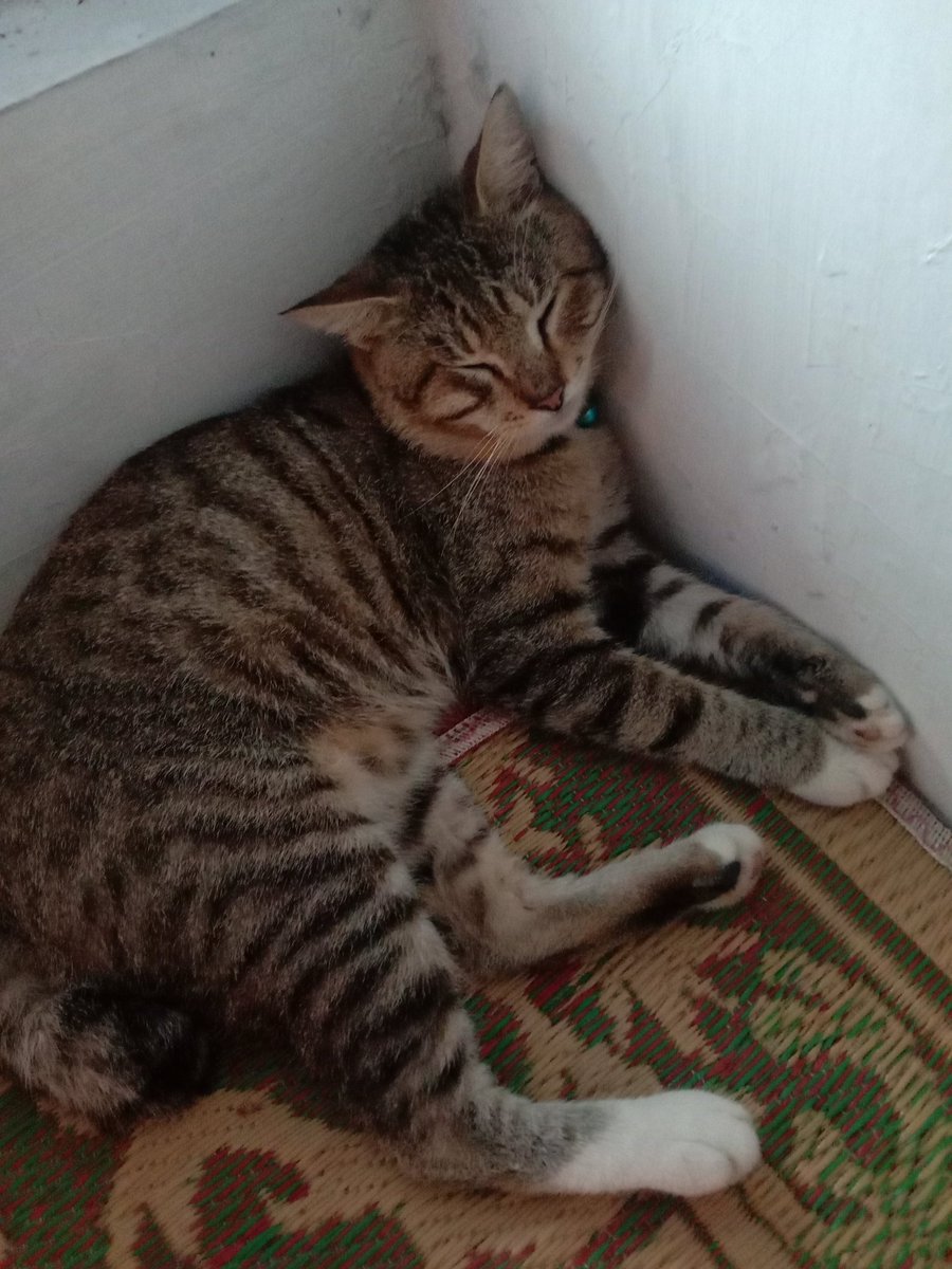 ⪩⪨﹢°𓈄𐬹 tweet media