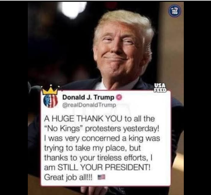 ⭐Tim Lockett ⭐𝕏 tweet media