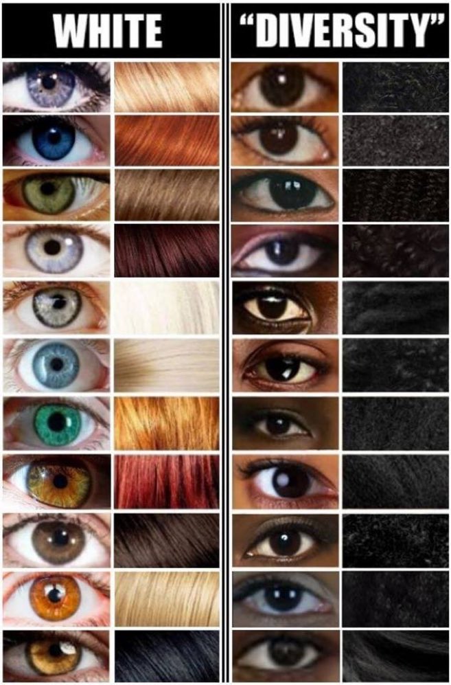 ☃️🔎 tweet media