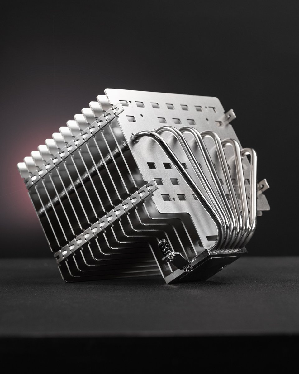 Mr Matt Lee 📸 tweet media