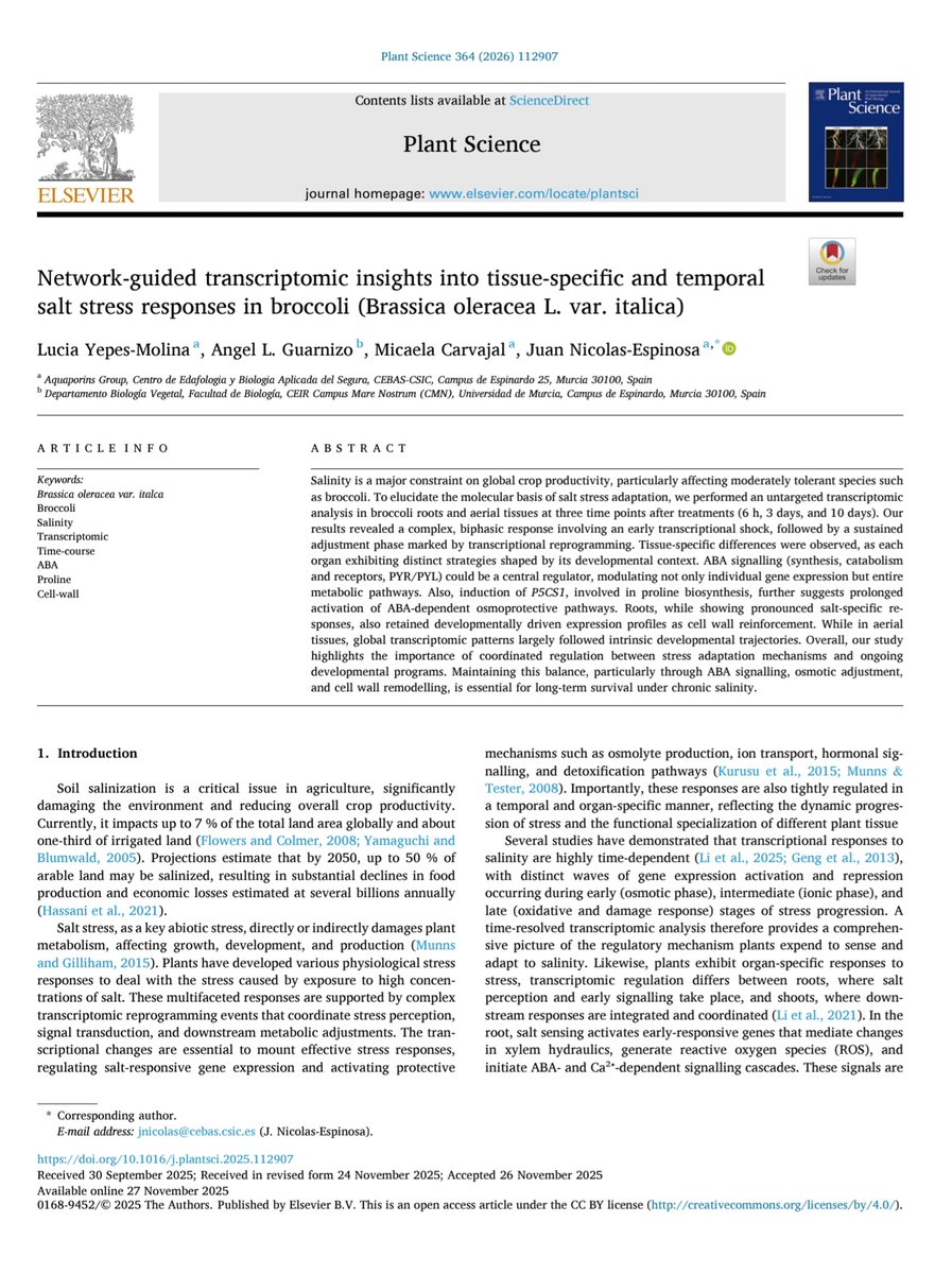 NEW PAPER 📋 "Network-guided transcriptomic insights into tissue-specific and temporal salt stress responses in broccoli (Brassica oleracea L. var. italica)" by Lucia Yepes-Molina, Angel L. Guarnizo, Micaela Carvajal &amp; Juan Nicolas-Espinosa.
Available at: sciencedirect.com/science/articl…