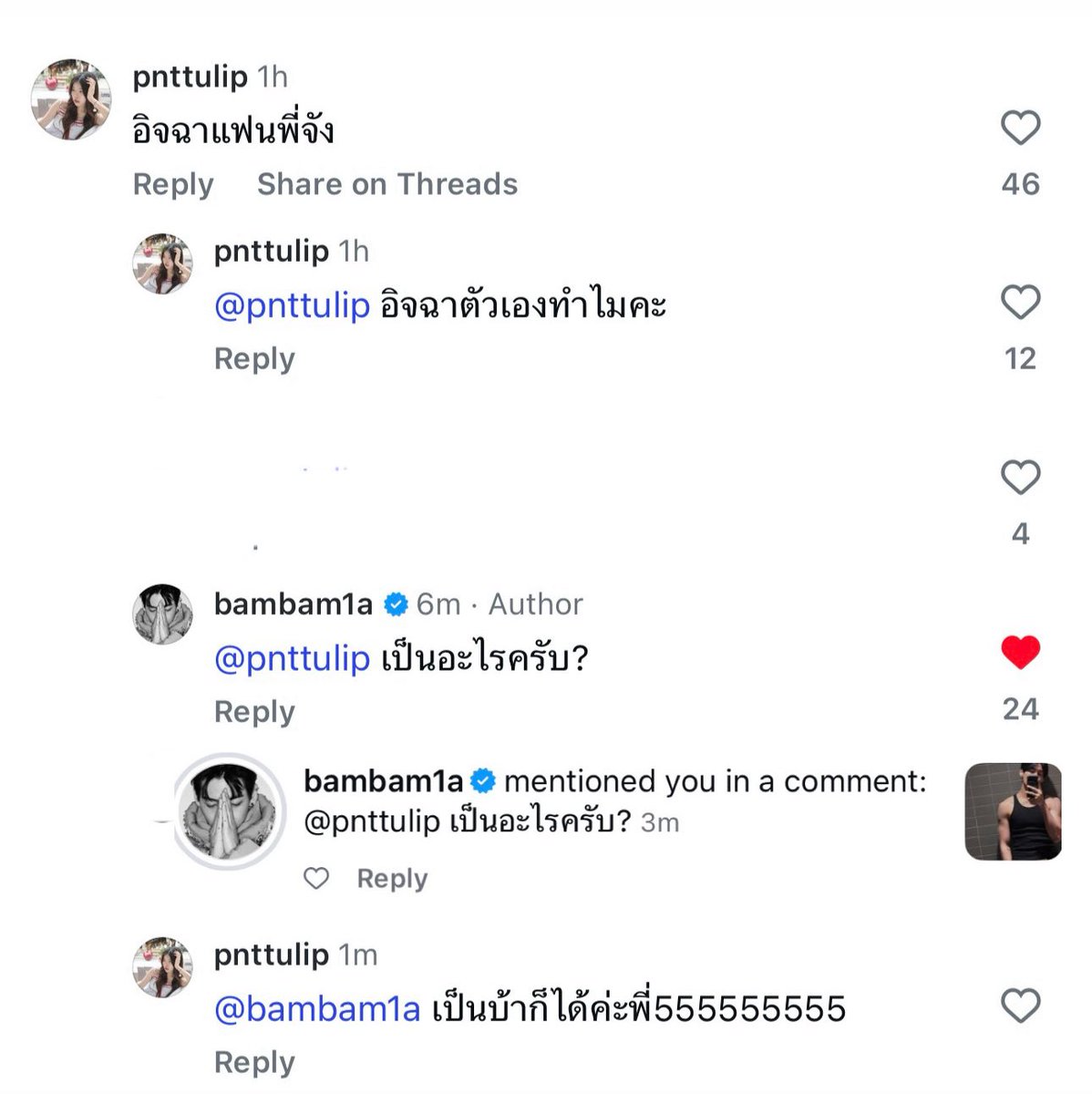 My Tulip ≽^𓏽•༚• ྀི𓏽 ≼ 𐒡 ྀི tweet media