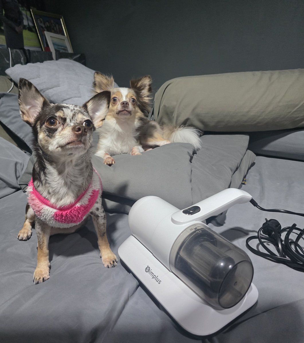 ♡Heart_PPKritt tweet media