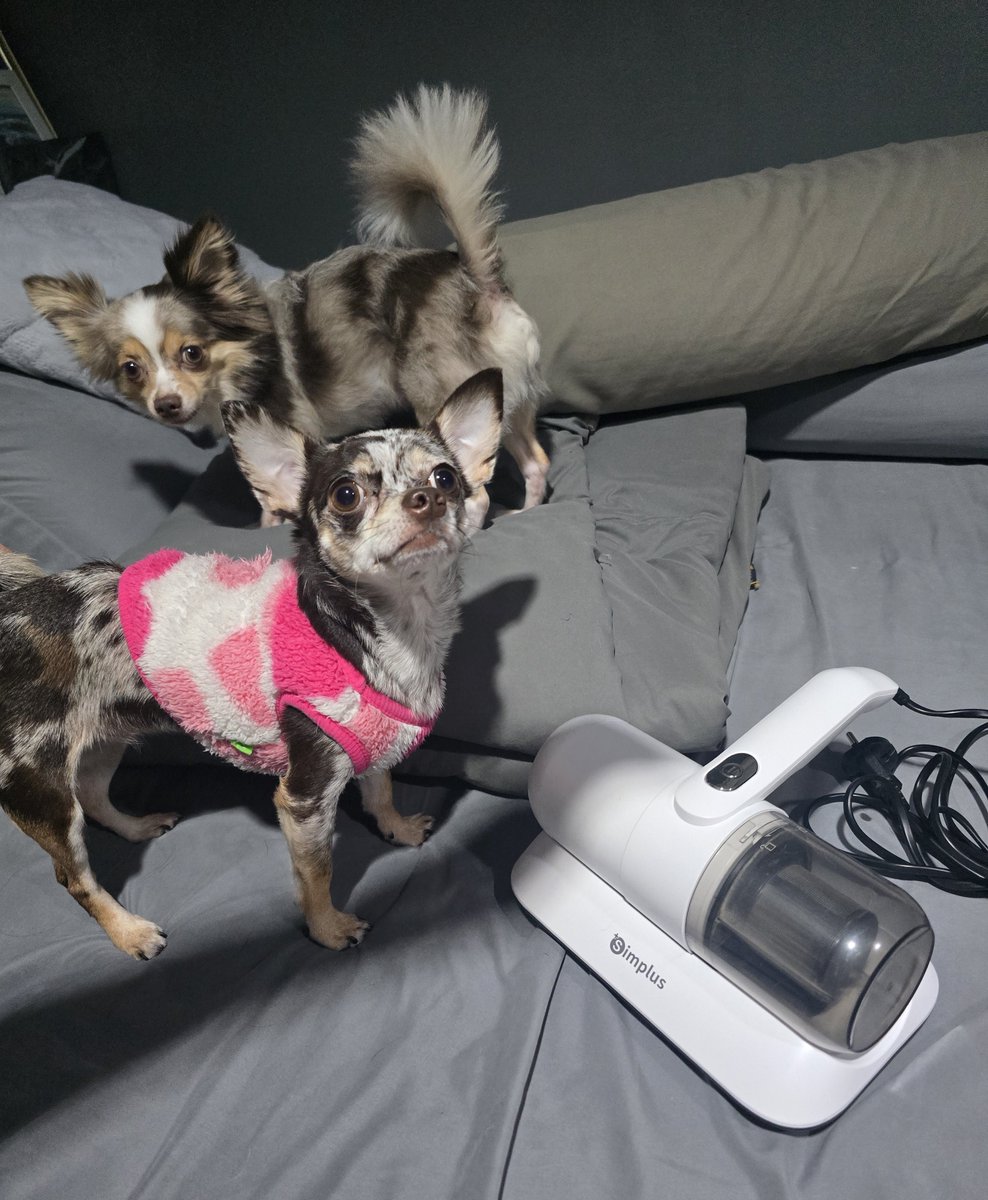 ♡Heart_PPKritt tweet media