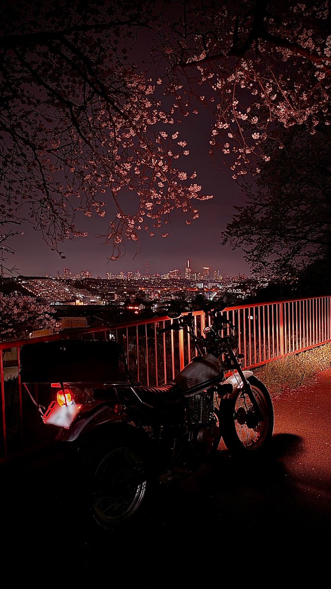 usamin_camp's tweet photo. ワイズファクトリーさんにメンテに出してたVanVan200ちゃんでヨコハマ夜桜ツーリング
明日から春の嵐がやって来そうなので軽く流してきました
#バイク #ツーリング #andRide https://t.co/zSKwxeF90m