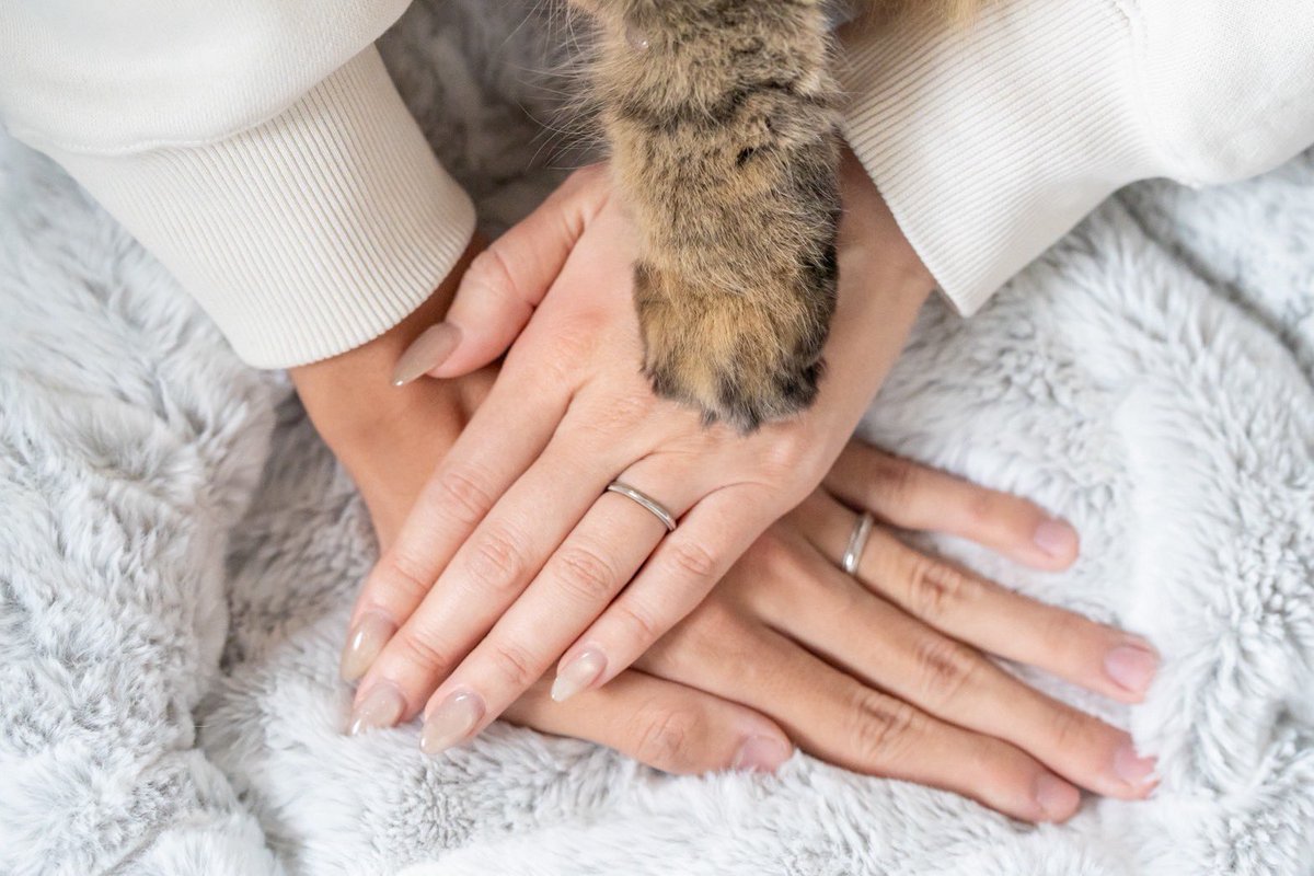 たきしま / Takishima tweet media