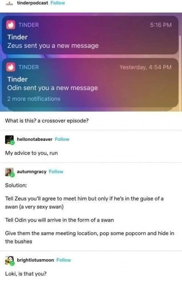 Classical Studies Memes tweet media