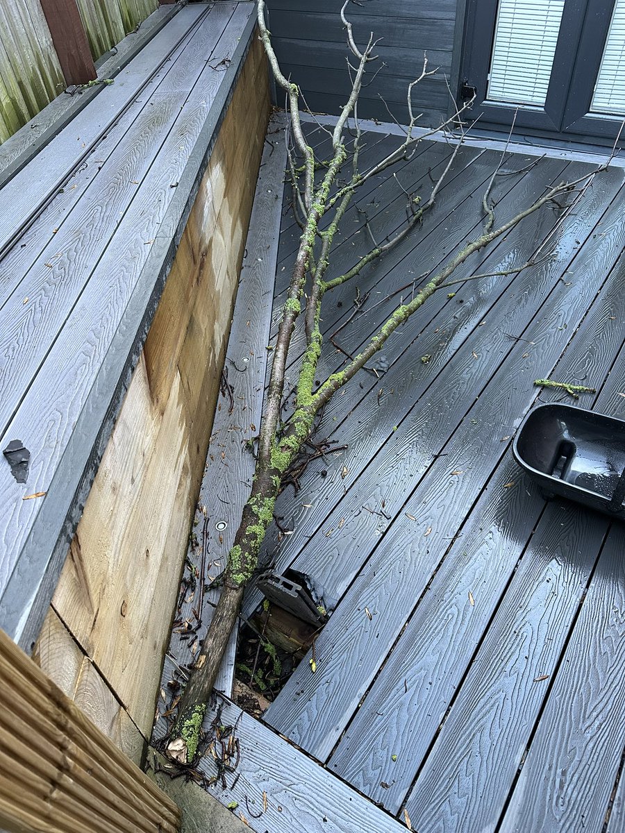 MICHAEL TROOP tweet media