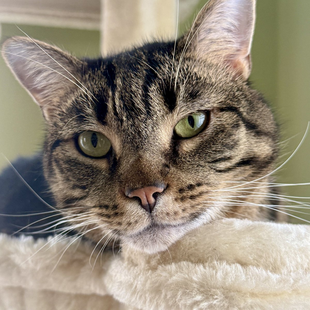 For the love of Missy. tweet media