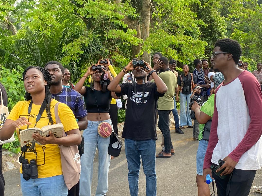 IITA Forest Center tweet media