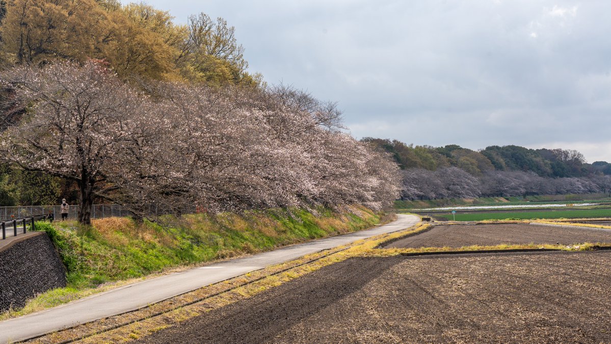 YKつち🐢 tweet media